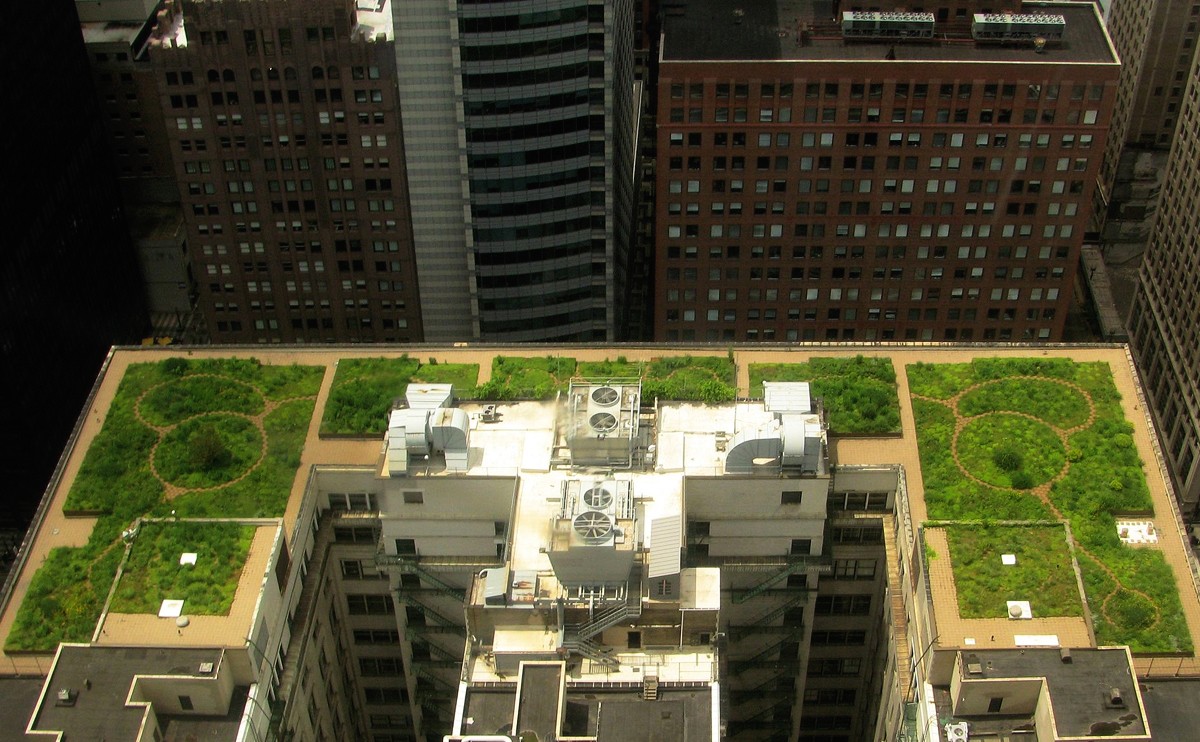 Das begrünte Dach der City Hall in Chicago / © TonyTheTiger