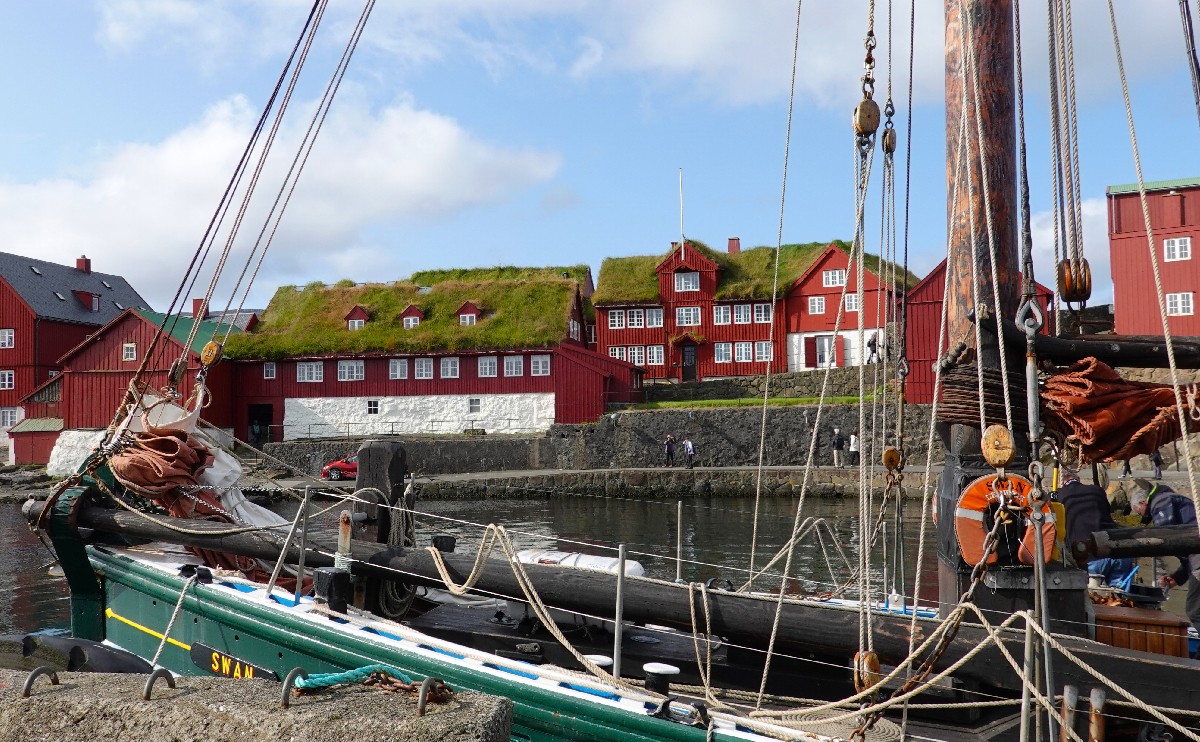 Skandinavische Häuser mit Schrägdach aus Gras / © Pixaby