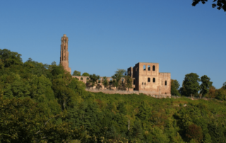 Klosterruine Limburg im Pfälzerwald, Weinbergwanderung