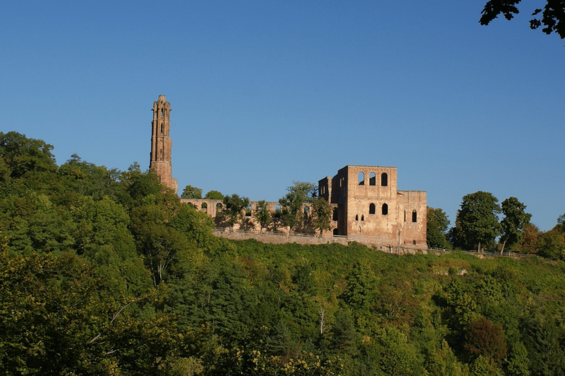 Klosterruine Limburg im Pfälzerwald, Weinbergwanderung