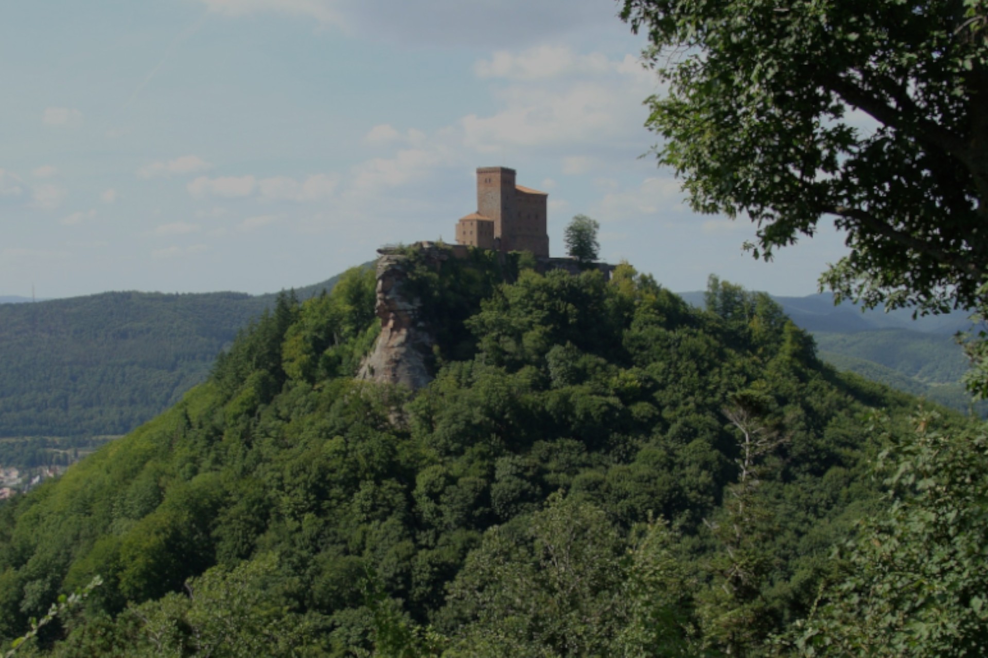 Trifels Cover