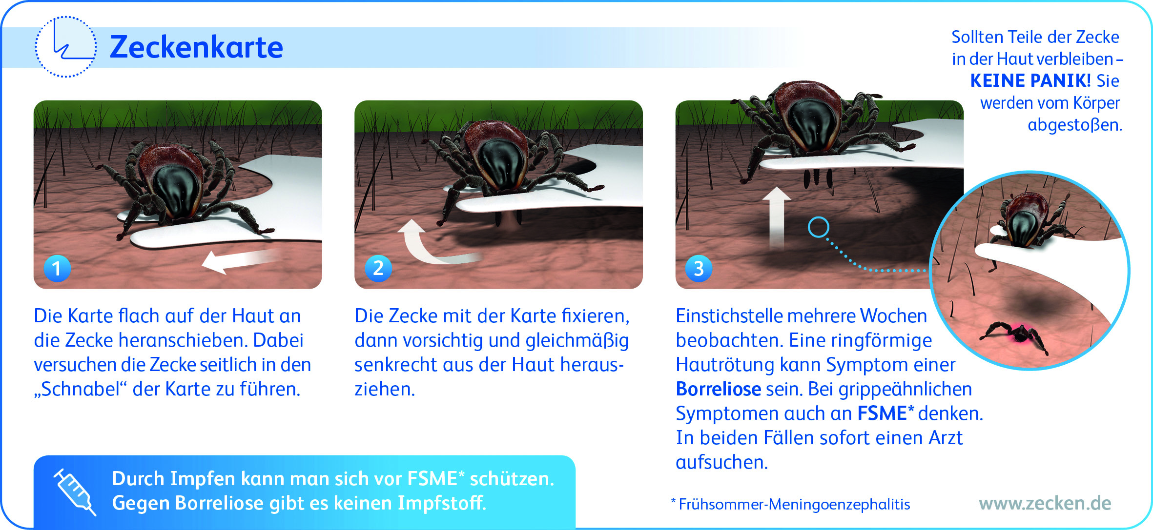 Zecken entfernen