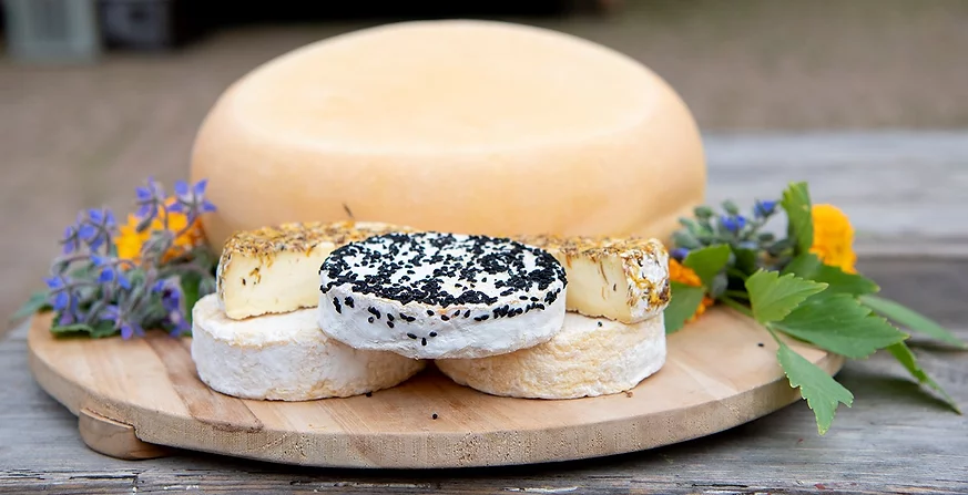 Hahnerhof_Käse