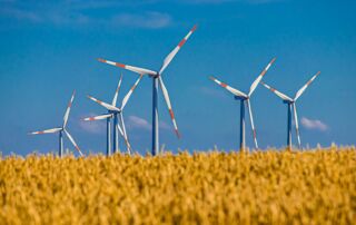 Windkraft, Windräder, Kornfeld