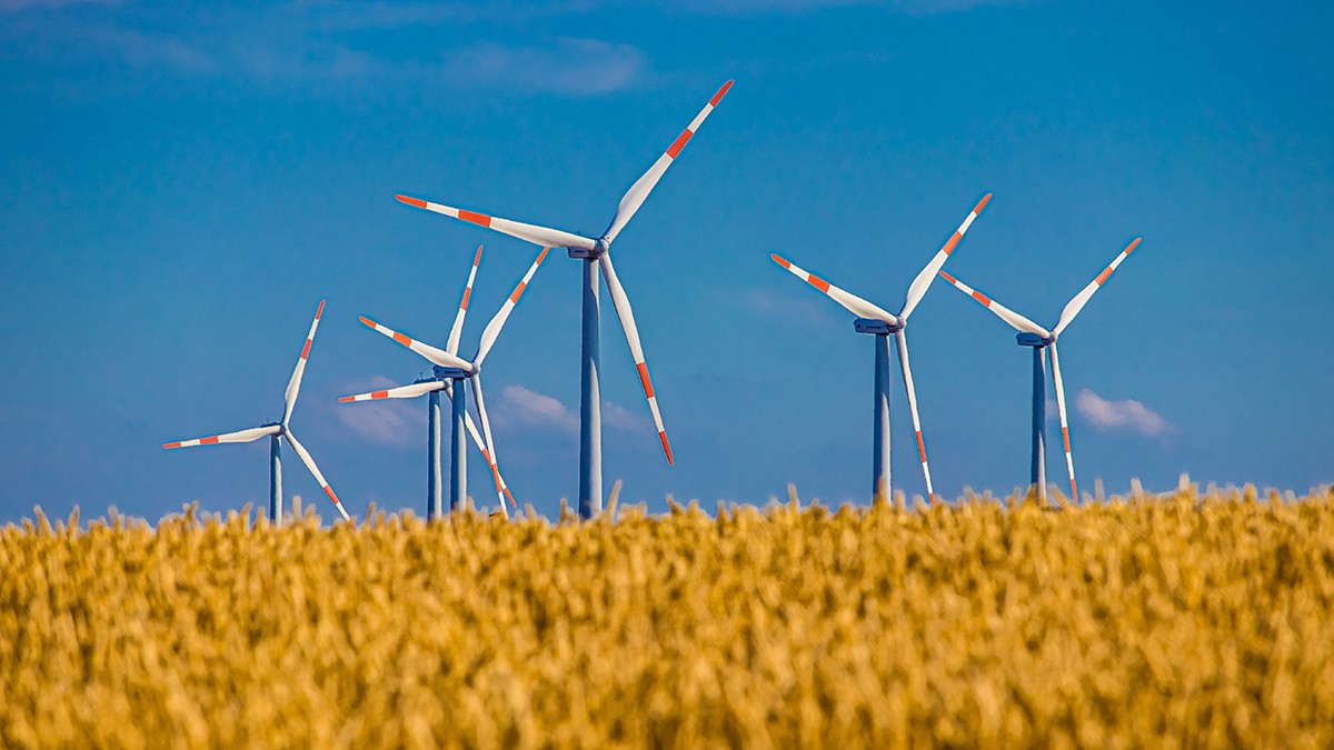 Windkraft, Windräder, Kornfeld