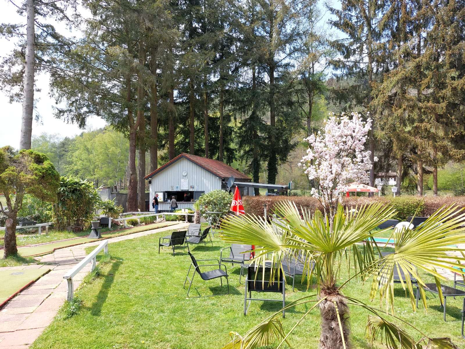 Minigolfanlage am Gelterswoog mit Palme im Vordergrund