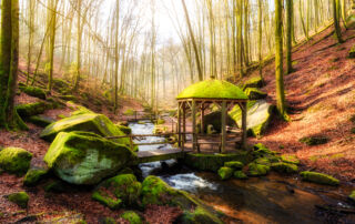 Holzpavillon im Karlstal bei Sonnenschein