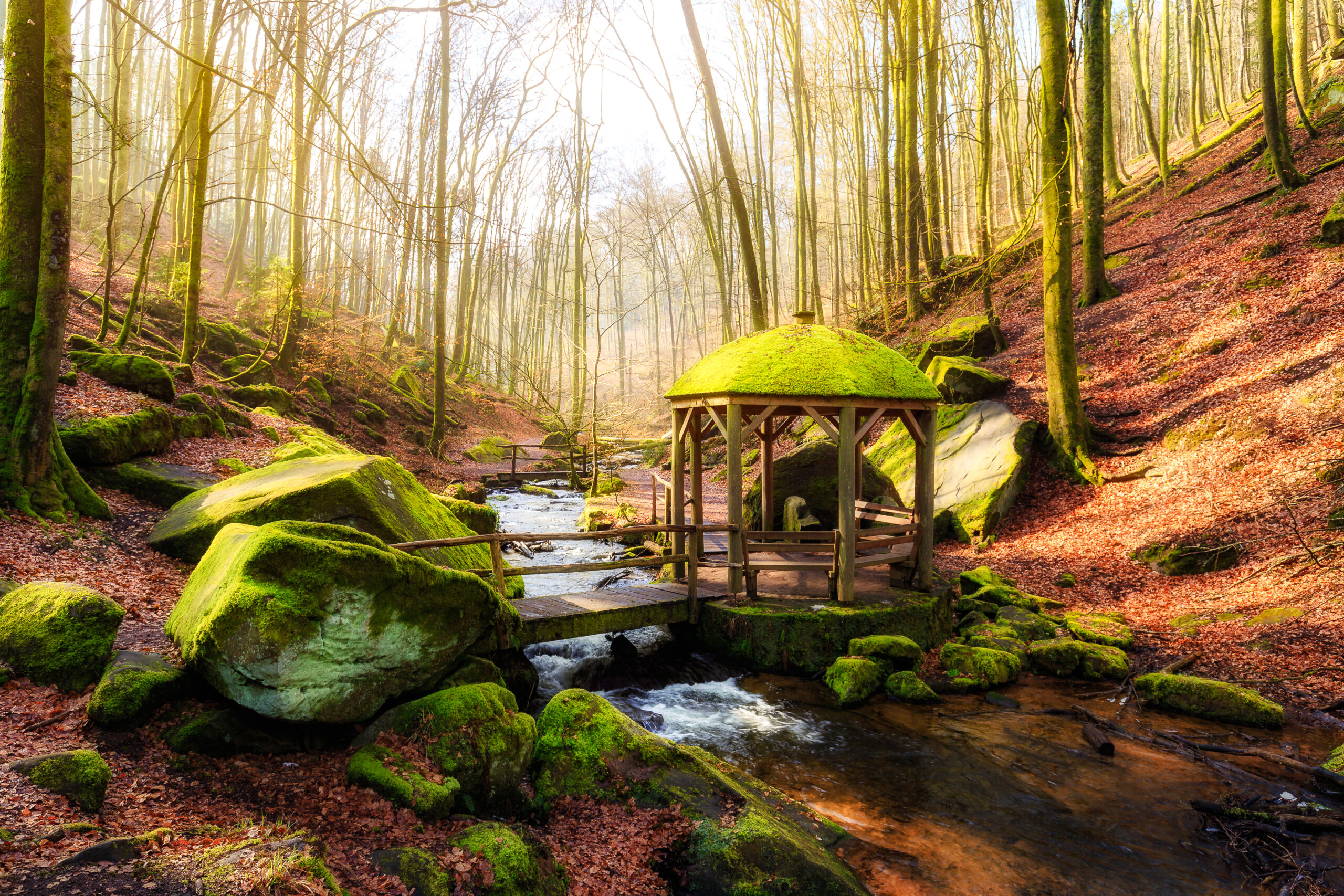 Holzpavillon im Karlstal bei Sonnenschein