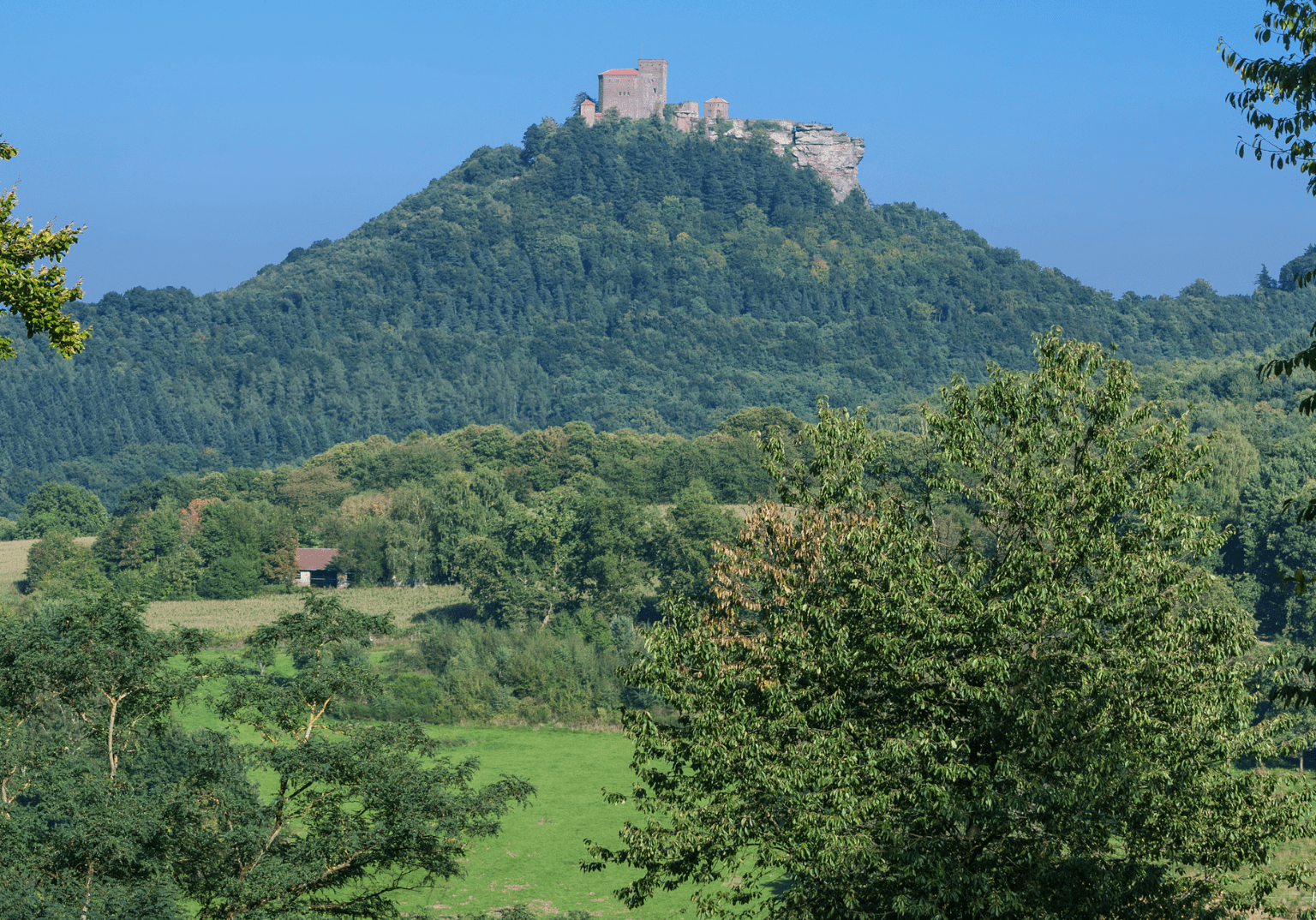 Burg Trifels, Berge, Wald