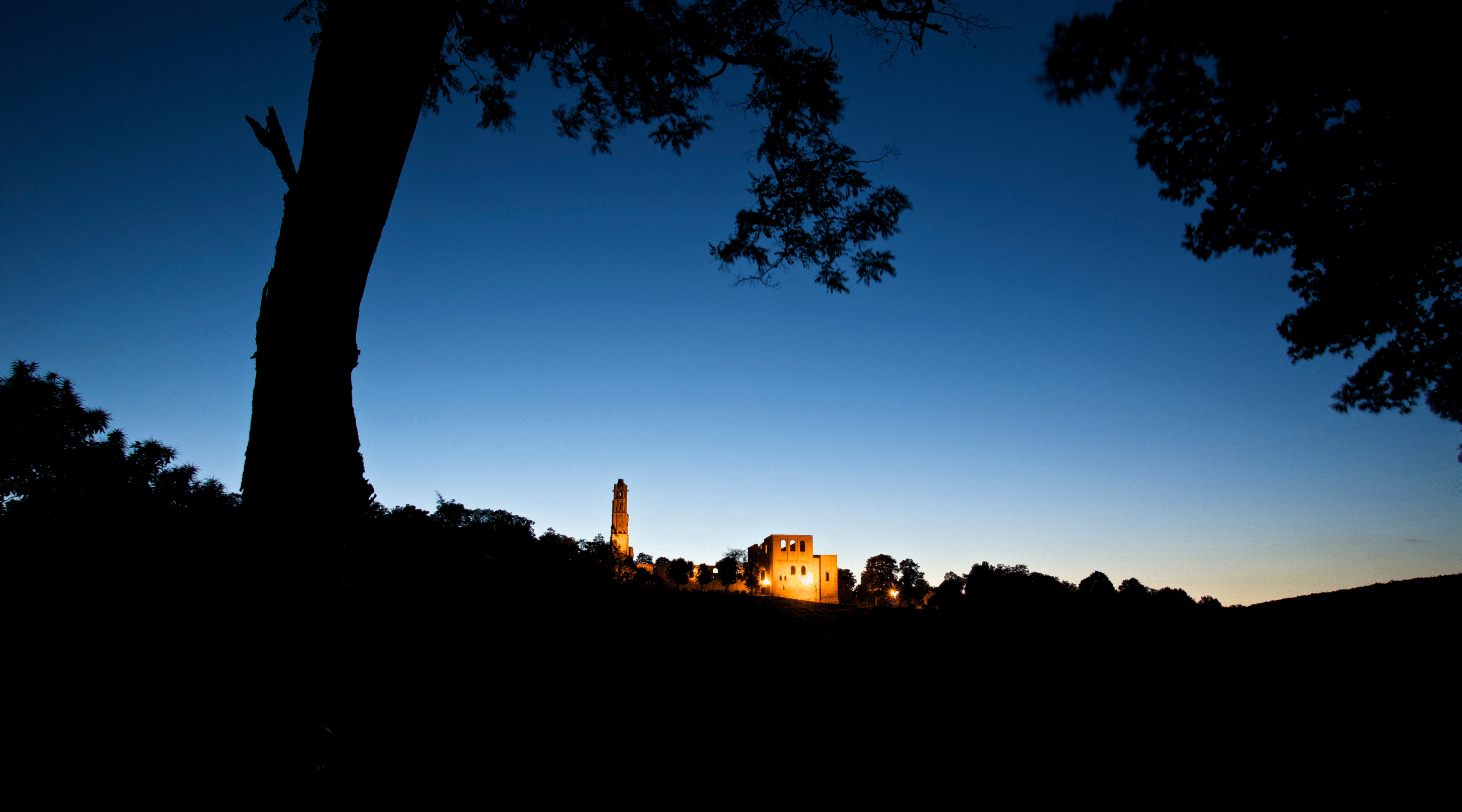 Klosterruine Limburg im Pfälzerwald, nachts