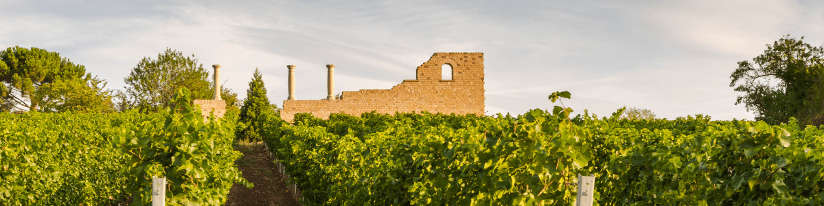 römisches Weingut in den Weinbergen, Weinbergwanderung