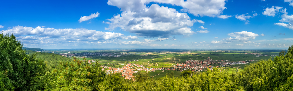 Hambacher Schloss, Aussicht