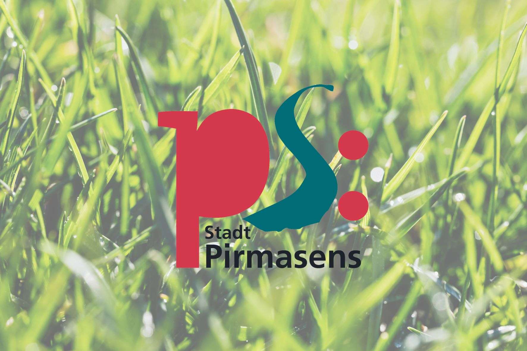 WSP im Dauereinsatz Feucht-warmes Wetter lässt Grün sprießen