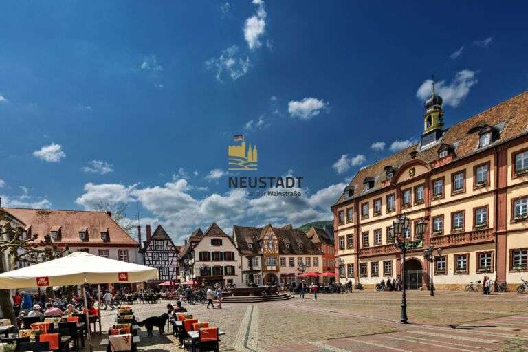 Neustadt /Wstr. – Alle wichtigen Infos zum Wochenmarkt sind jetzt über einen Klick verfügbar