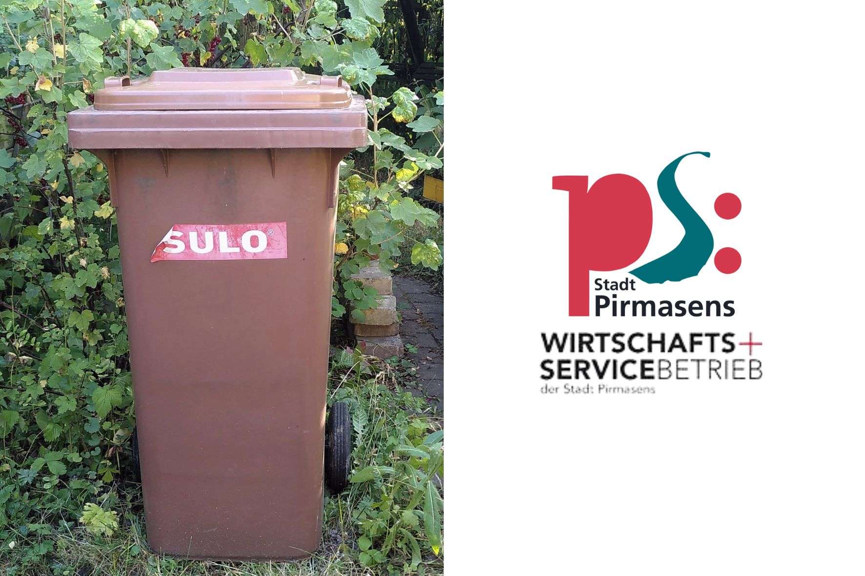 Pirmasens Sommer, Sonne, Biotonne Drei Goldene Regeln an heißen Tagen