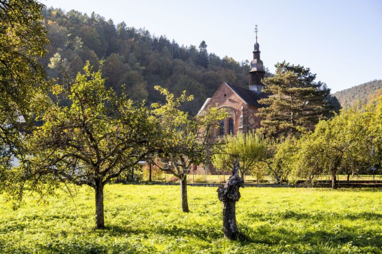 Enkenbach-Alsenborn – Marmeladenmarkt und Schnittkurs | Rund ums Streuobst
