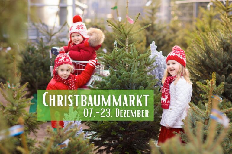 Kaiserslautern – Christbaummarkt auf dem Messeplatz
