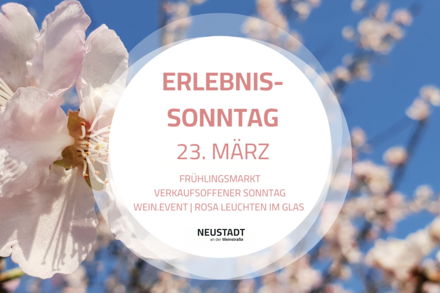Frühlingserwachen in Neustadt an der Weinstraße Erlebnissonntag am 23. März 2025