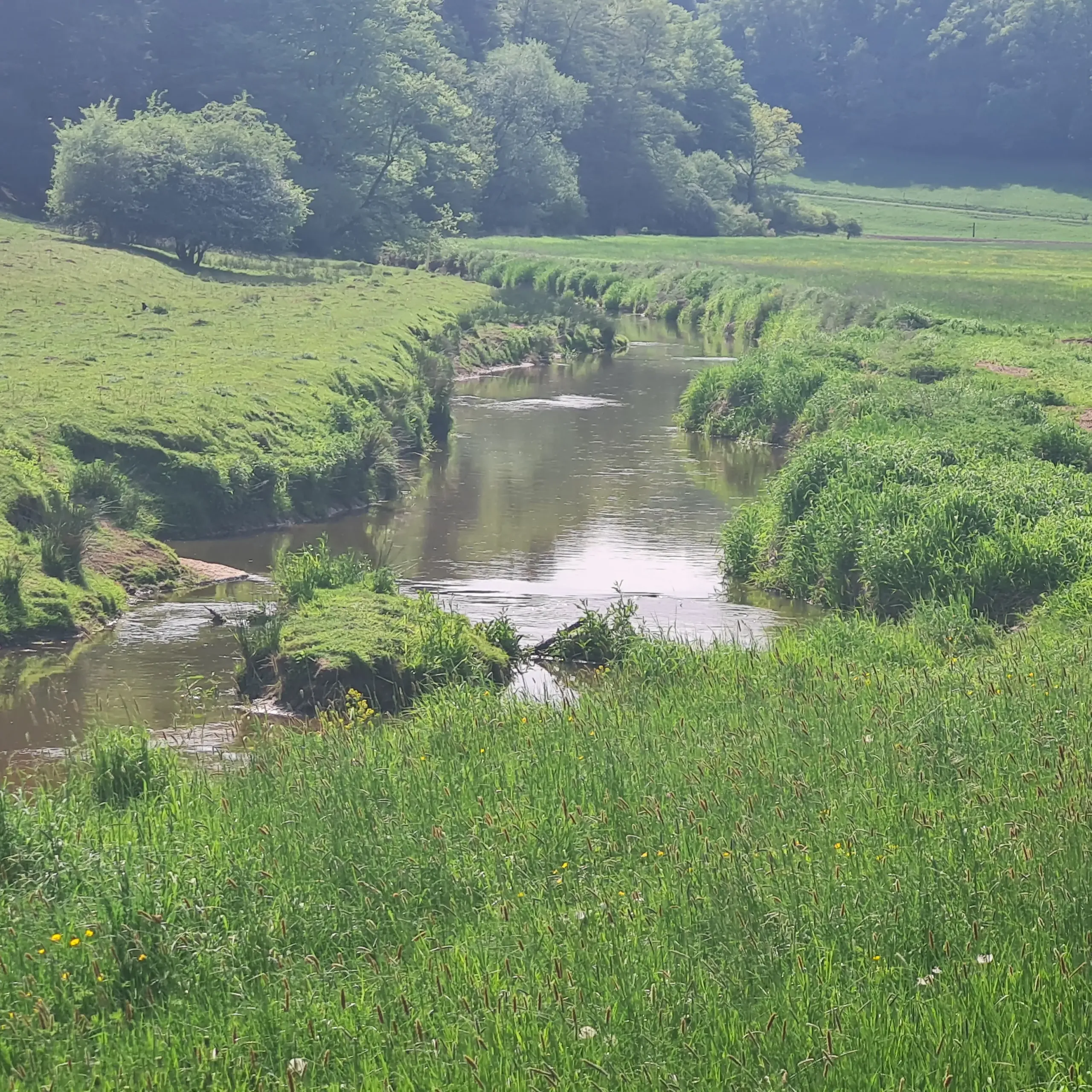 Glanwanderung Andrea Schneider