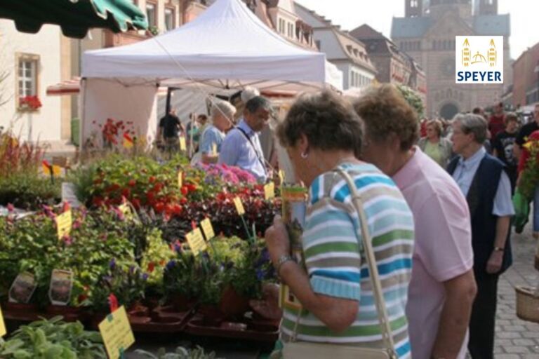 Bewerbungsaufruf für den Speyerer Bauernmarkt – Jetzt Aussteller*in werden!