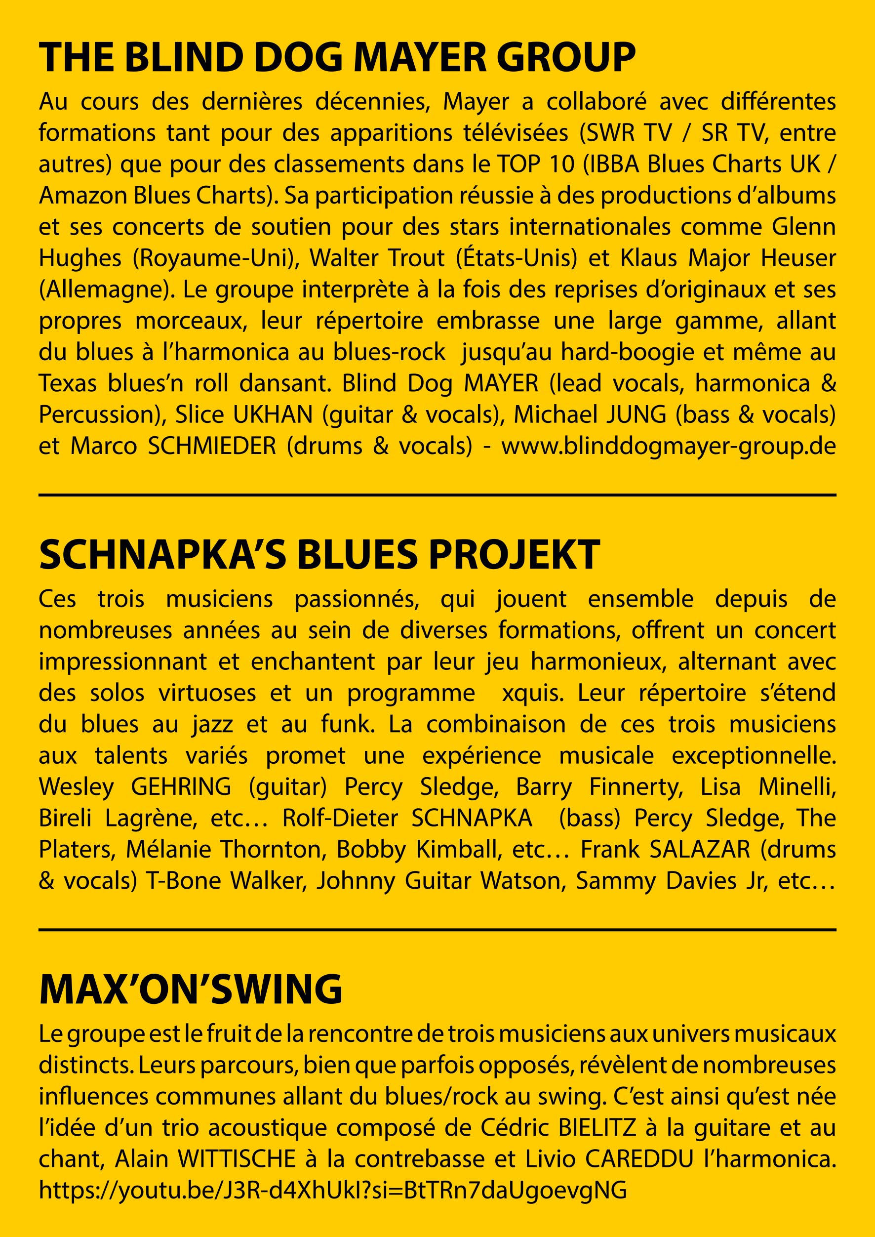 Dieb-Blues-Rocki-Festival.2.jpg