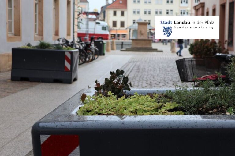 Sicher und stimmungsvoll: Stadt Landau schützt Kunsthandwerklichen Thomas-Nast-Nikolausmarkt