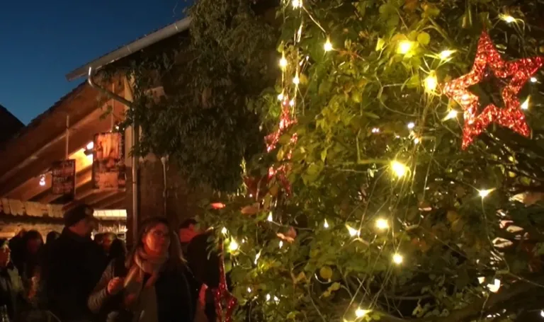 Weihnachtsmarkt Neuleiningen 2025 – Romantik im Burgdorf