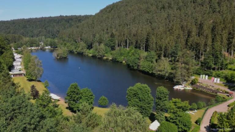 Clausensee im Pfälzerwald: Badesee, Camping, Liegewiese und Bootsverleih