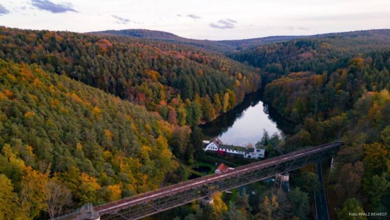 Eiswoog Ramsen: Idyllischer See im Stumpfwald mit Natur, Ausflug und Erholung
