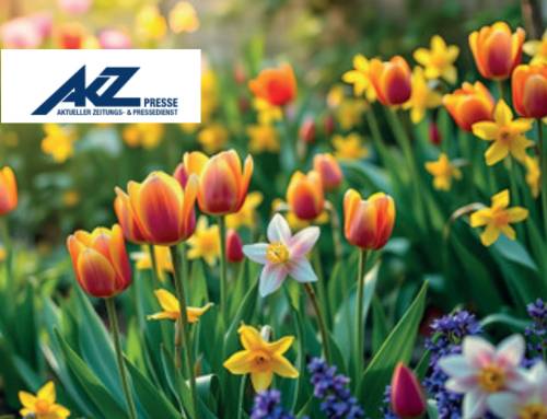 Erste Farbakzente im Garten: Frühblüher fürs Auge