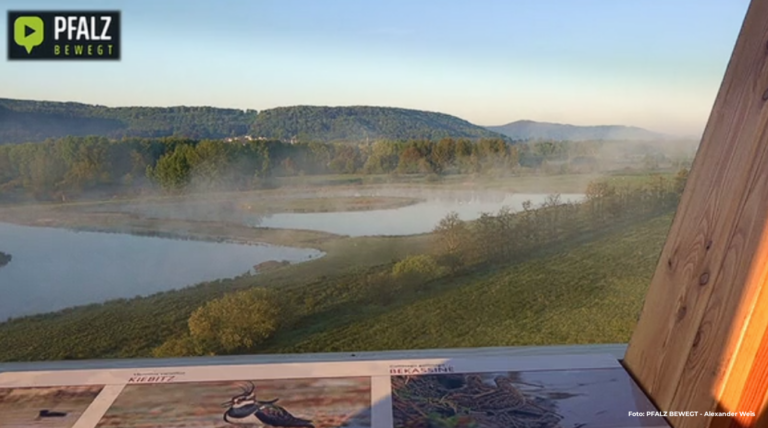 PFALZ BEWEGT – Aussichtsturm am Kranichwoog: Natur erleben, Weitblick genießen und seltene Tiere entdecken