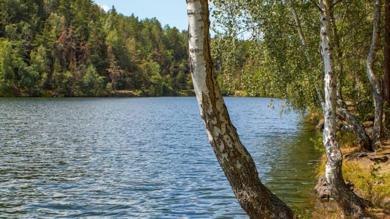 Neudahner Weiher bei Dahn: Badeweiher mit Campinganlage im Pfälzerwald