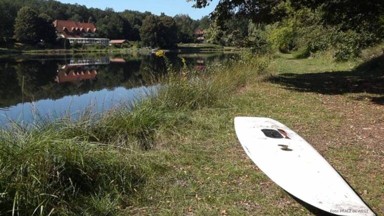 Saarbacher Hammer / Mühlweiher: Naturbadesee bei Ludwigswinkel und Fischbach bei Dahn