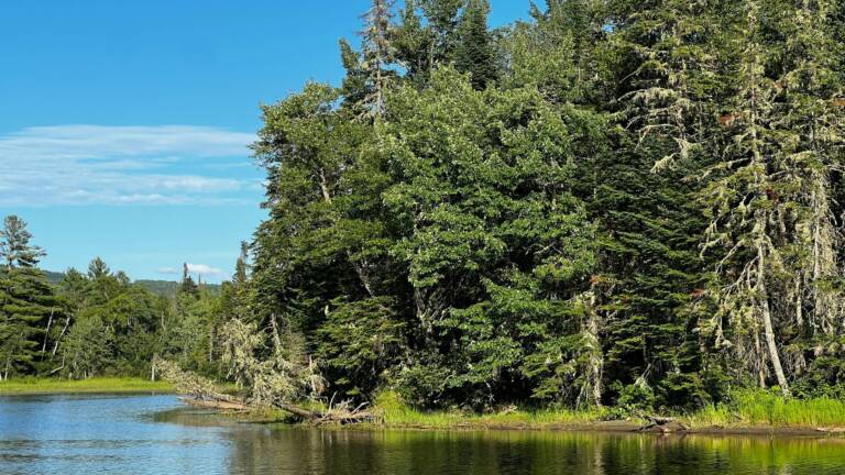 Sägmühlweiher Trippstadt: Badeweiher am Camping- und Freizeitzentrum Sägmühle