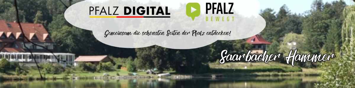 PfalzBewegt