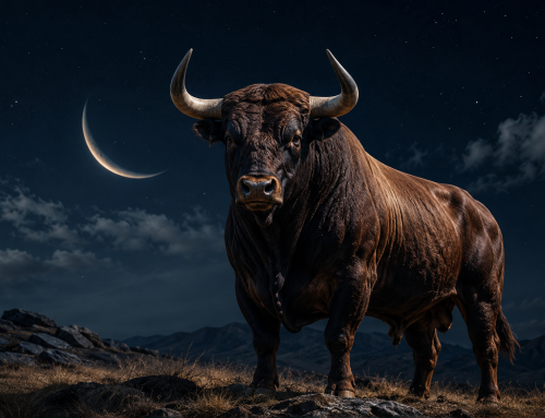 Horoskop – 11.05.2026 – 17.05.2026