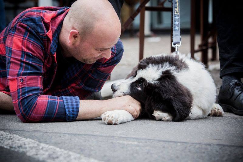Joe beim Altstadtfest mit Hund.2017_n