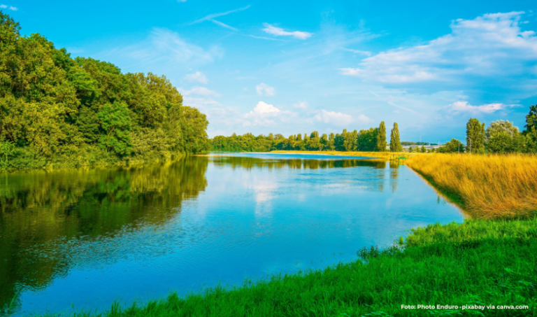 Sommer auf dem Wasser: Die schönsten Kanutouren in Rheinland-Pfalz
