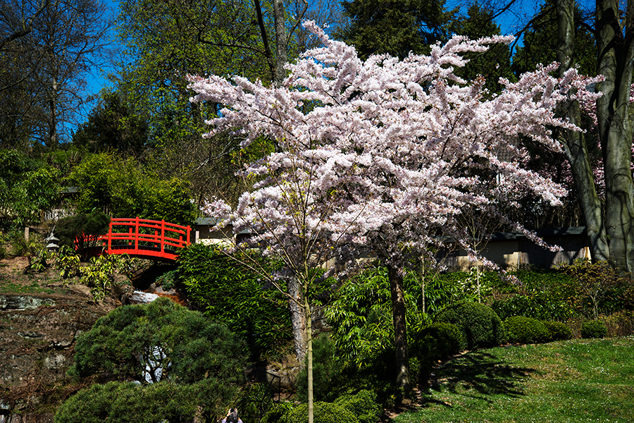 Japanischer Garten in Kaiserslautern Japanischer Garten in Kaiserslautern