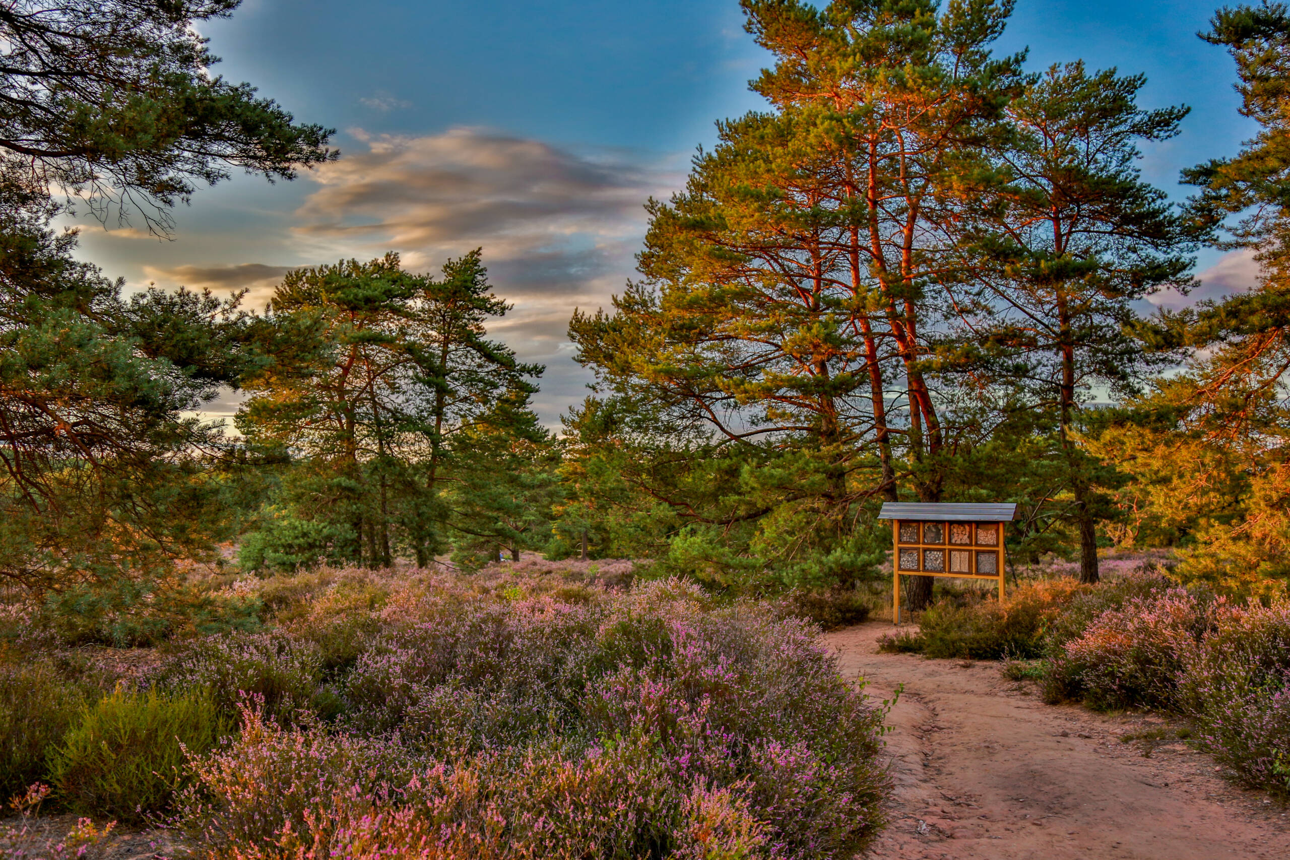 Mehlinger Heide 1
