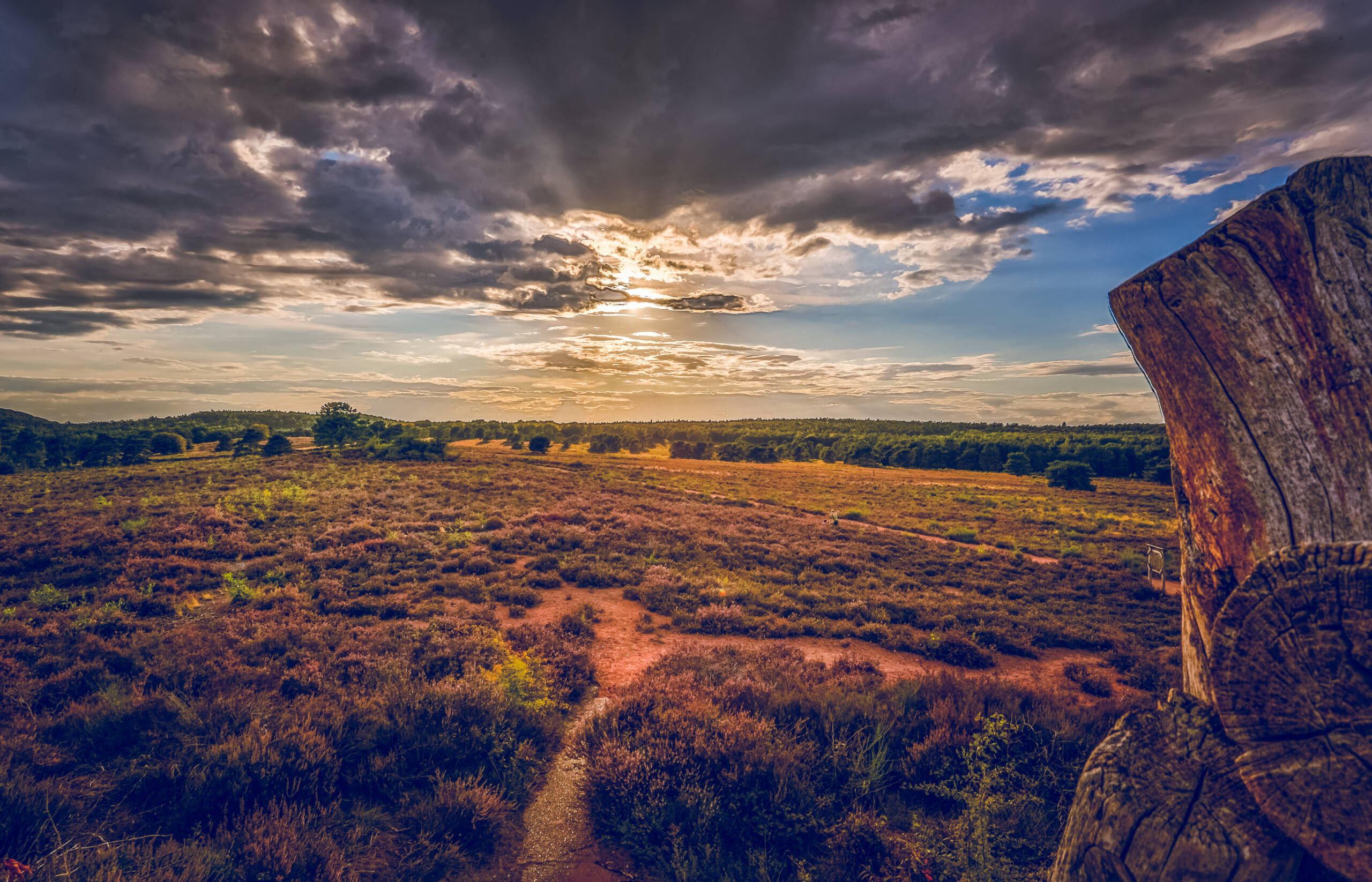Mehlinger Heide 2