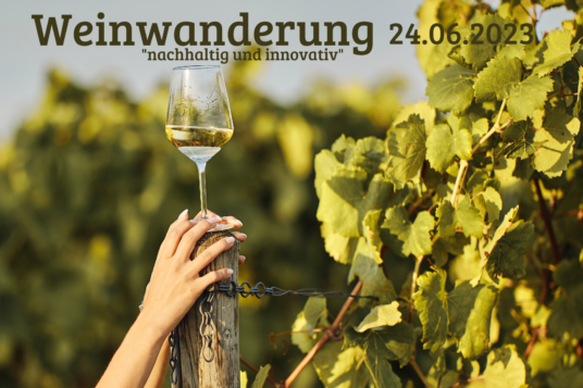 Weinwanderung “nachhaltig und innovativ”